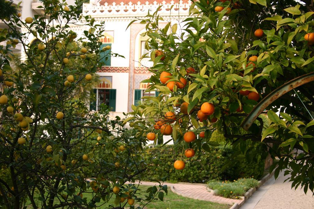Villa Belle Rive Канны Экстерьер фото
